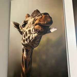 Giraffe Animal Canvas Wall Art